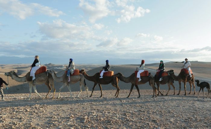 People are riding camels through the desert.