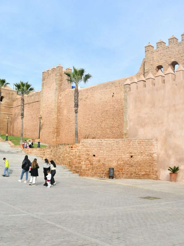 a group of people walking down a street next to a castle