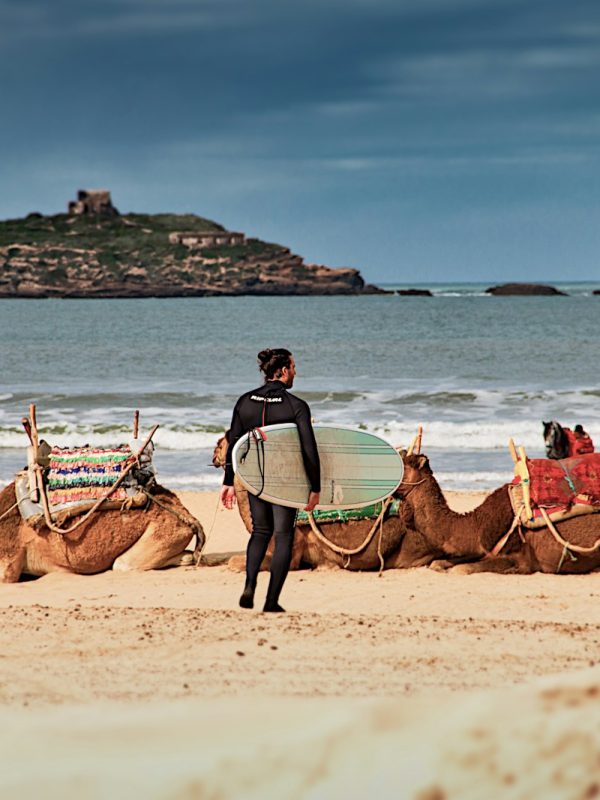man in blue shirt riding brown camel on beach during daytime
