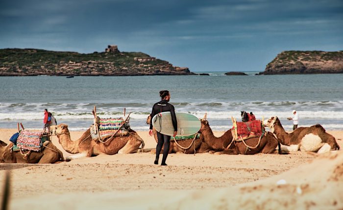 man in blue shirt riding brown camel on beach during daytime