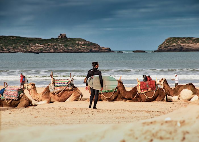 man in blue shirt riding brown camel on beach during daytime